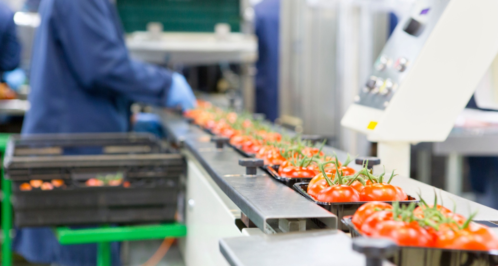 Food processing technologies